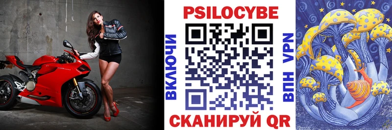 Купить закладки  Красноуфимск  Галлюциногенные грибы Magic Shrooms 