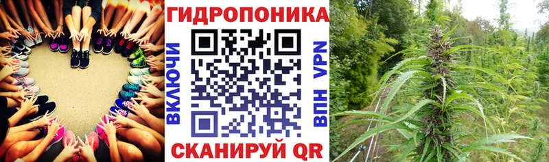 Каннабис семена  Купить закладки  Красноуфимск 